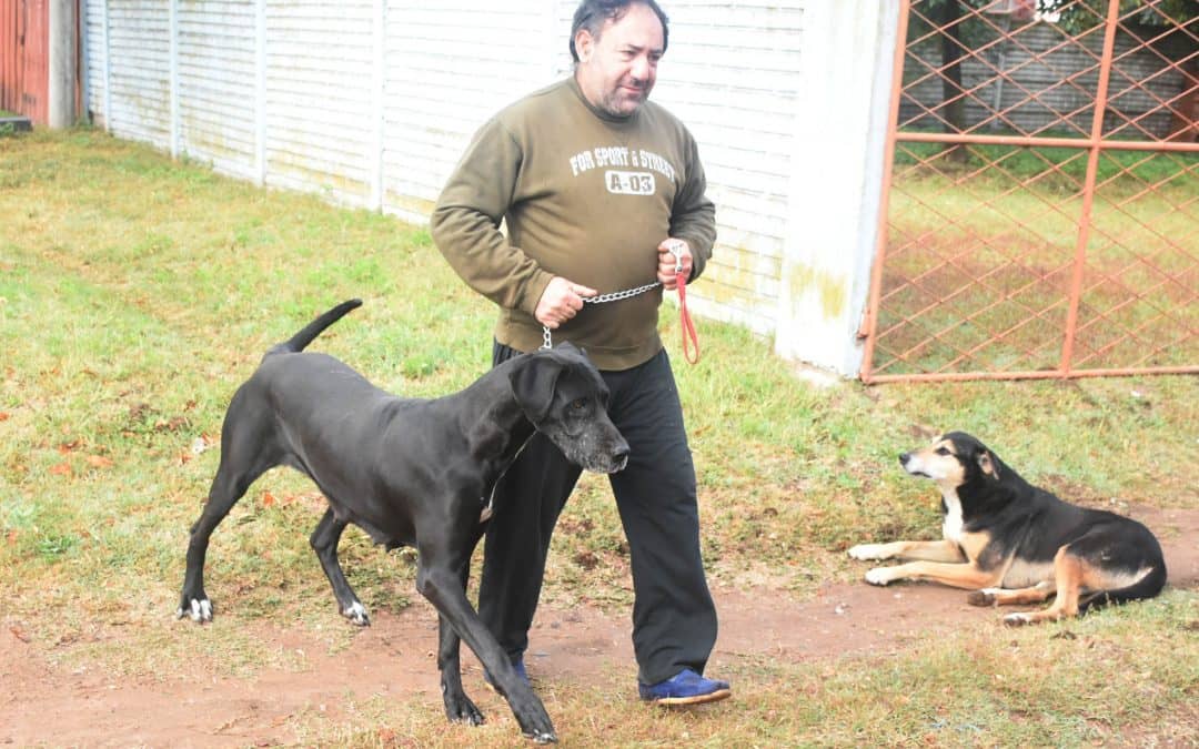CON LAS 57 DÓSIS APLICADAS EL SÁBADO, YA SON CASI 700 LAS MASCOTAS VACUNADAS CONTRA LA RABIA