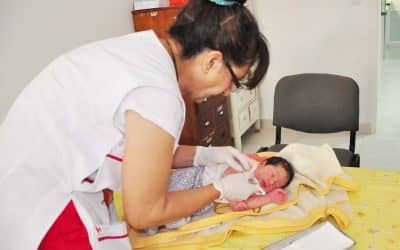 Vacunación antigripal: ya se aplicaron 3100 dosis