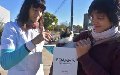 CONTINÚA EN ZOONOSIS LA CAMPAÑA DE VACUNACIÓN DE MASCOTAS CONTRA LA RABIA