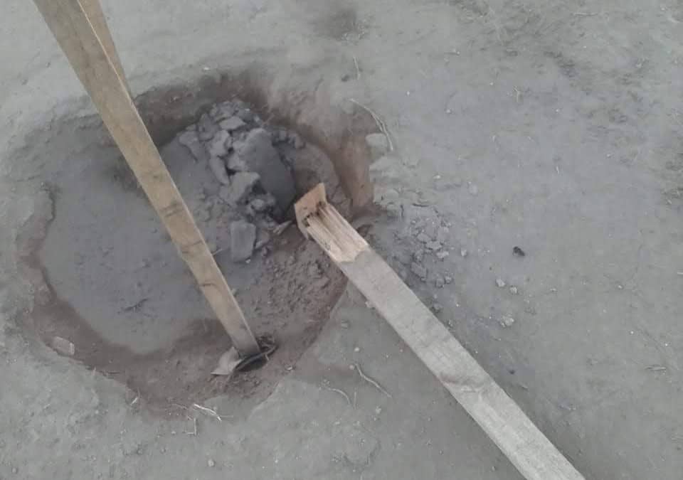 VANDALISMO EN ESPACIOS PUBLICOS: DAÑARON PLANTAS COLOCADAS DURANTE ESTE AÑO