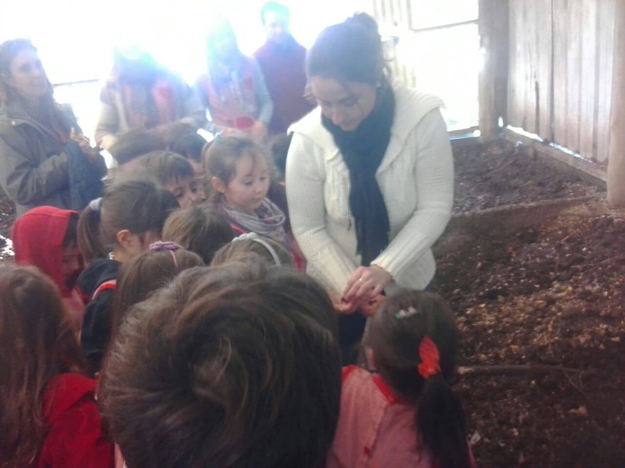 Continúan las visitas de instituciones educativas al Prolim