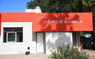 ZOONOSIS SIGUE RECIBIENDO DE 9 A 12 LAS MUESTRAS PARA ANÁLISIS DE TRIQUINOSIS Y ENTREGA LOS RESULTADOS POR LA TARDE