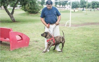 LA CAMPAÑA DE VACUNACIÓN DE MASCOTAS CONTRA LA RABIA  INSTALARÁ EL SÁBADO SU PUESTO MÓVIL EN BARRIO FONAVI