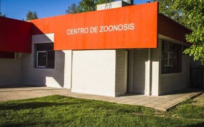 A DOS AÑOS DE SU INAUGURACIÓN, EL AREA DE ZOONOSIS LLEVA CASTRADAS MÁS DE 3.500 MASCOTAS