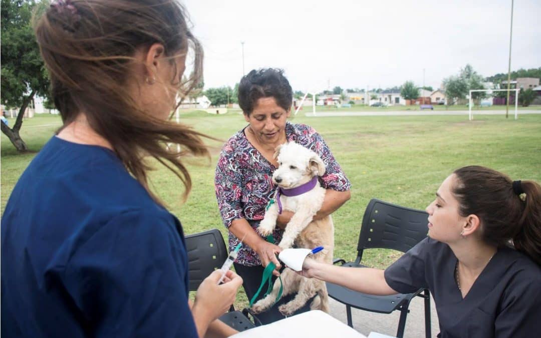 ESTE SABADO ZOONOSIS VACUNARA PERROS Y GATOS CONTRA LA RABIA, EN UN PUESTO AL LADO DEL CAPS INDIO TROMPA