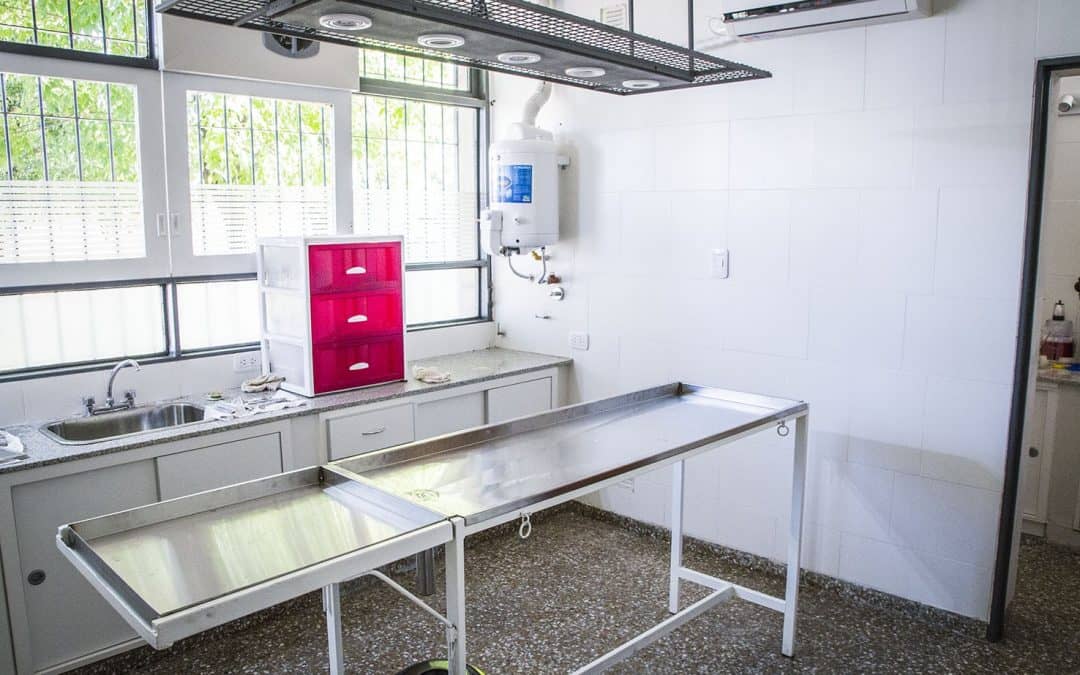 ZOONOSIS VISITARÁ LOS BARRIOS PARA VACUNAR A PERROS Y GATOS CONTRA LA RABIA