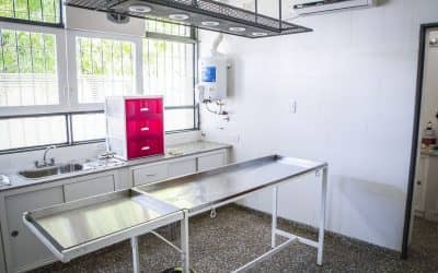 ZOONOSIS VISITARÁ LOS BARRIOS PARA VACUNAR A PERROS Y GATOS CONTRA LA RABIA