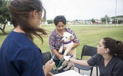 EN EL BARRIO ARAMENDI, ZOONOSIS VACUNÓ MÁS DE UN CENTENAR PERROS Y GATOS CONTRA LA RABIA