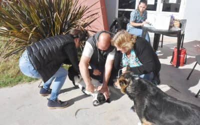 ZOONOSIS VACUNÓ A 75 MASCOTAS EN EL SUM CHIQUITO TELLO Y YA LLEVA MÁS DE 600 EN LA CAMPAÑA ITINERANTE